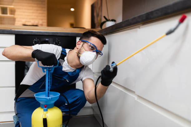 Professional Pest Control in Spring Hill, TN