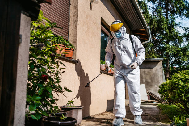 Best Pest Prevention Services  in Spring Hill, TN