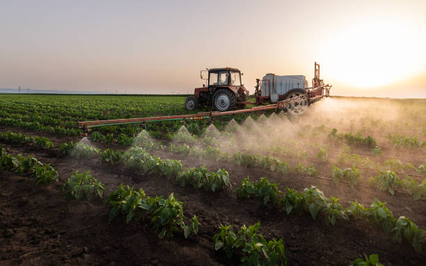 Best Commercial Pest Control Services  in Spring Hill, TN