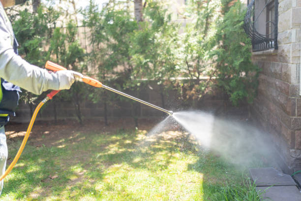 Best Best Pest Control Companies  in Spring Hill, TN