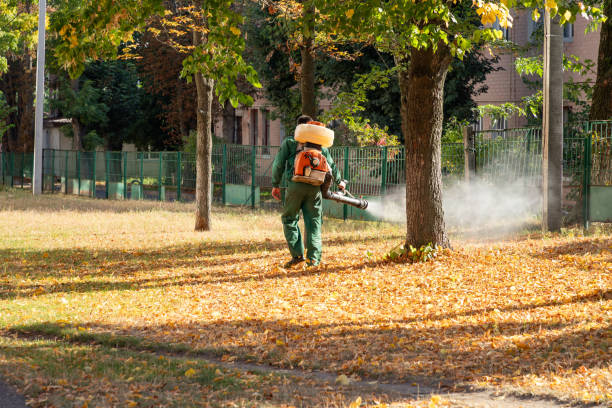 Bird Control in Spring Hill, TN